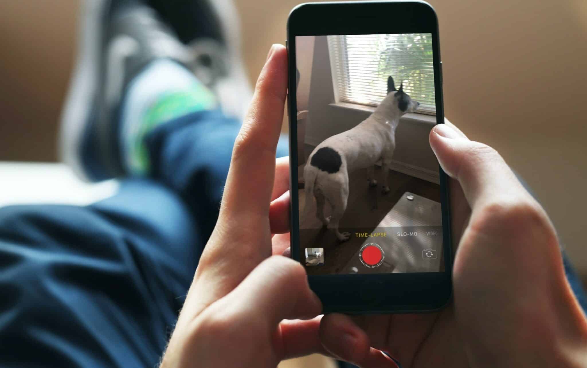Une personne assise, les pieds sur une table, utilisant un iPhone pour enregistrer une vidéo accélérée d'un chien regardant à travers la fenêtre