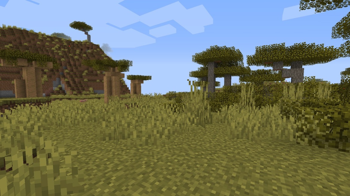 1677965768 685 Tous les differents biomes Minecraft repertories 2023