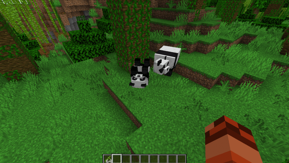 Comment elever des pandas dans Minecraft