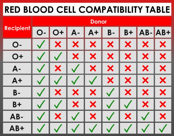 Tableau sanguin DayZ tous les groupes sanguins et compatibilites