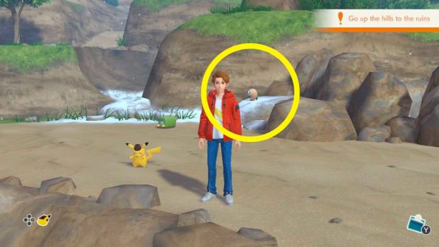1696569060 576 Le retour du detective Pikachu Comment trouver un Pokemon aile