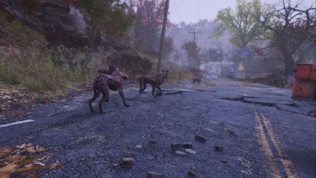 Fallout 76 Bâtards